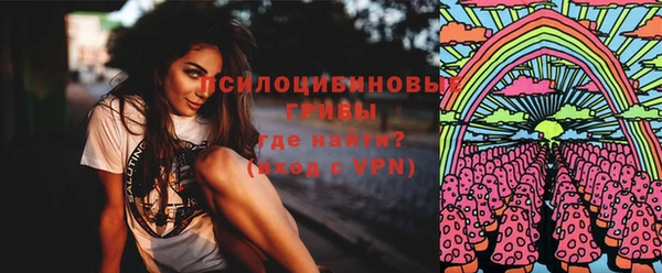 ПСИЛОЦИБИНОВЫЕ ГРИБЫ Баксан