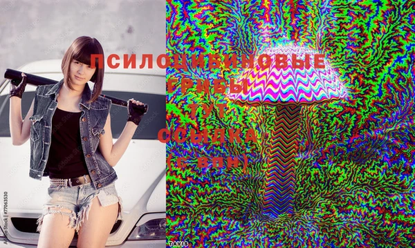 тгк Балабаново