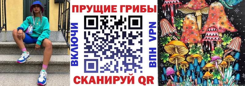 Галлюциногенные грибы Psilocybine cubensis  Мезень 